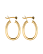 Brinco Argola Oval Dourado